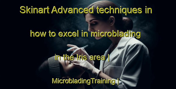 Skinart Advanced techniques in how to excel in microblading in the Iris area | MicrobladingTraining | MicrobladingClasses | SkinartTraining-Canada